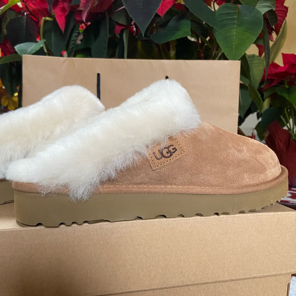 Ugg chestnut